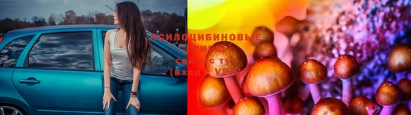 не бодяженный Алзамай