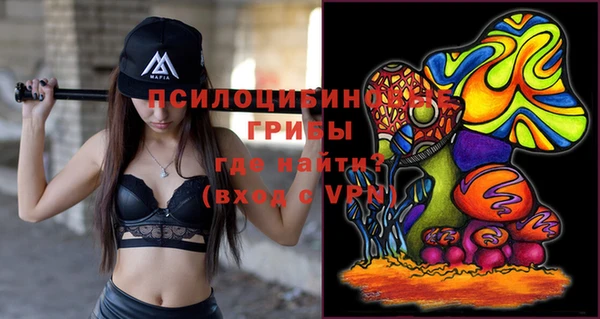 не бодяженный Алзамай