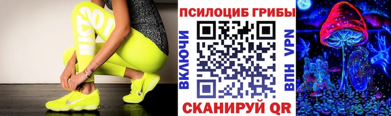 Галлюциногенные грибы Psilocybe  наркотики  Юрьевец 